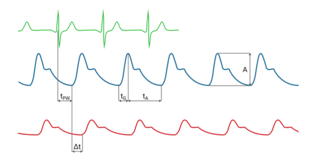 Pulse Wave Parameters